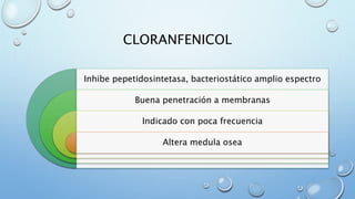 CLORANFENICOL 
Inhibe pepetidosintetasa, bacteriostático amplio espectro 
Buena penetración a membranas 
Indicado con poca frecuencia 
Altera medula osea 
 