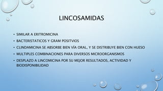LINCOSAMIDAS 
• SIMILAR A ERITROMICINA 
• BACTERISTATICOS Y GRAM POSITVIOS 
• CLINDAMICINA SE ABSORBE BIEN VÍA ORAL, Y SE DISTRIBUYE BIEN CON HUESO 
• MULTIPLES COMBINACIONES PARA DIVERSOS MICROORGANISMOS 
• DESPLAZO A LINCOMICINA POR SU MEJOR RESULTADOS, ACTIVIDAD Y 
BIODISPONIBILIDAD 
 