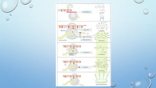 Infeccion de sitio quirurgico
