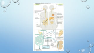Infeccion de sitio quirurgico