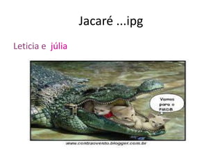 Jacaré ...ipg
Leticia e júlia
 