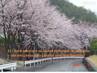 13 - Você sabia que os alunos terminam as refeições
em meia hora para garantir uma boa digestão?
 