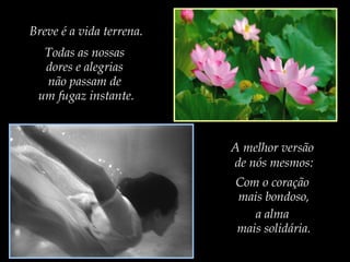 Breve é a vida terrena.
Todas as nossas
dores e alegrias
não passam de
um fugaz instante.

A melhor versão
de nós mesmos:
Com o coração
mais bondoso,
a alma
mais solidária.

 