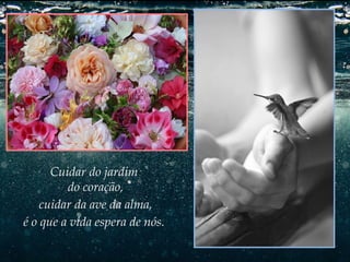 Cuidar do jardim
do coração,
cuidar da ave da alma,
é o que a vida espera de nós.

 