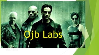 OjbLabs www.ojblabs.com
Ojb Labs
 