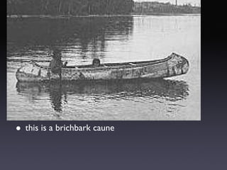 this is a brichbark caune