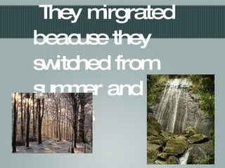 They mirgrated beacuse they switched from summer and winter homes.