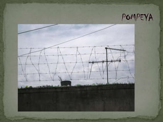 Pompeya