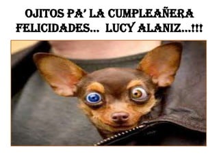 ojitos pa’ la cumpleañera
felicidades… lucy alaniz…!!!
 