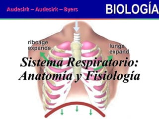 BIOLOGÍA
Sistema Respiratorio:
Anatomía y Fisiología
Audesirk – Audesirk – Byers
 