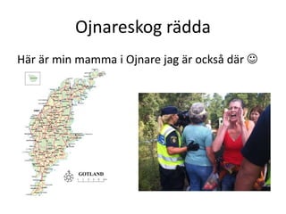 Ojnareskog rädda
Här är min mamma i Ojnare jag är också där 
 