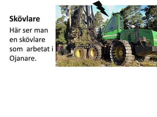 Skövlare
Här ser man
en skövlare
som arbetat i
Ojanare.
 