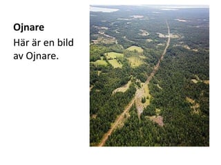 Ojnare
Här är en bild
av Ojnare.
 