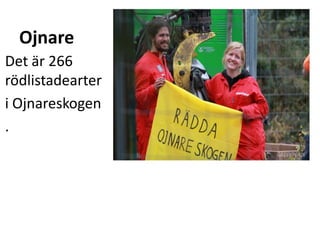 Ojnare
Det är 266
rödlistadearter
i Ojnareskogen
.
 