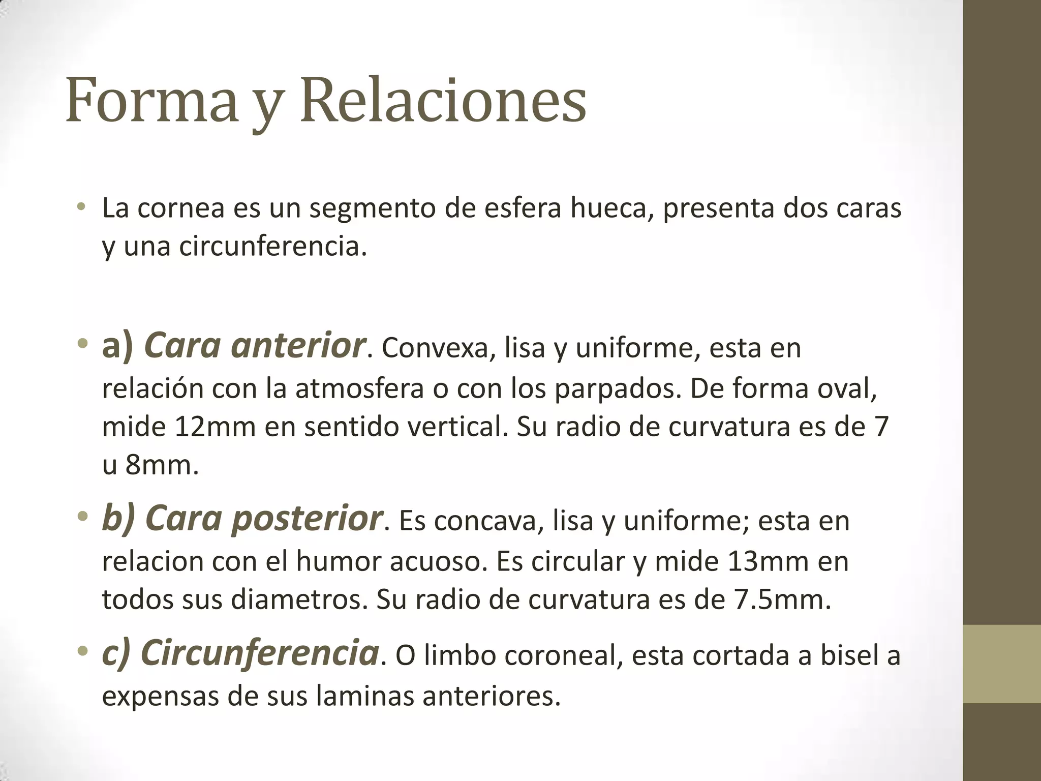 Forma y Relaciones
• La cornea es un segmento de esfera hueca, presenta dos caras
  y una circunferencia.


• a) Cara anterior. Convexa, lisa y uniforme, esta en
 relación con la atmosfera o con los parpados. De forma oval,
 mide 12mm en sentido vertical. Su radio de curvatura es de 7
 u 8mm.
• b) Cara posterior. Es concava, lisa y uniforme; esta en
 relacion con el humor acuoso. Es circular y mide 13mm en
 todos sus diametros. Su radio de curvatura es de 7.5mm.
• c) Circunferencia. O limbo coroneal, esta cortada a bisel a
 expensas de sus laminas anteriores.
 
