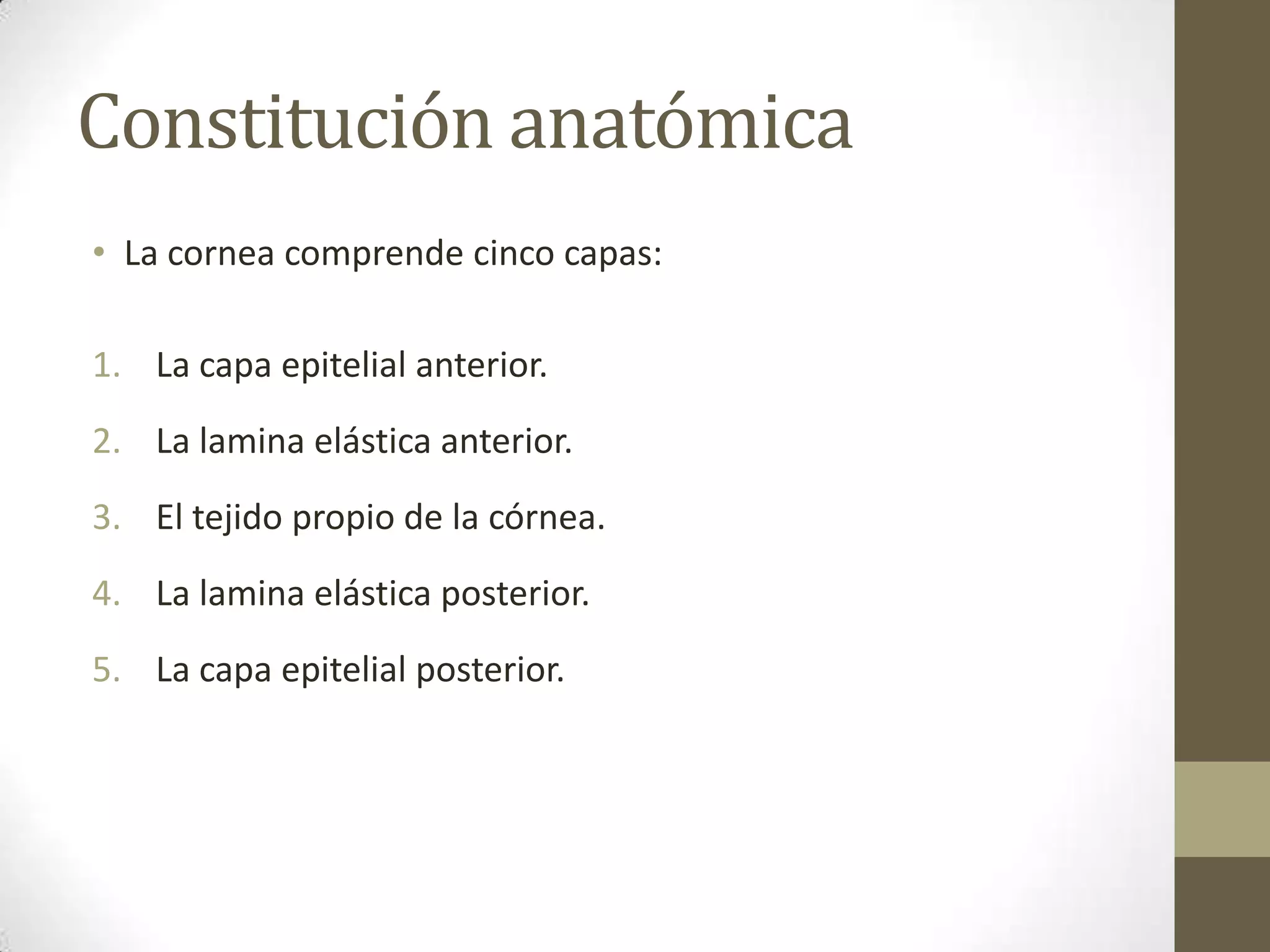Constitución anatómica
• La cornea comprende cinco capas:

1. La capa epitelial anterior.
2. La lamina elástica anterior.
3. El tejido propio de la córnea.
4. La lamina elástica posterior.
5. La capa epitelial posterior.
 