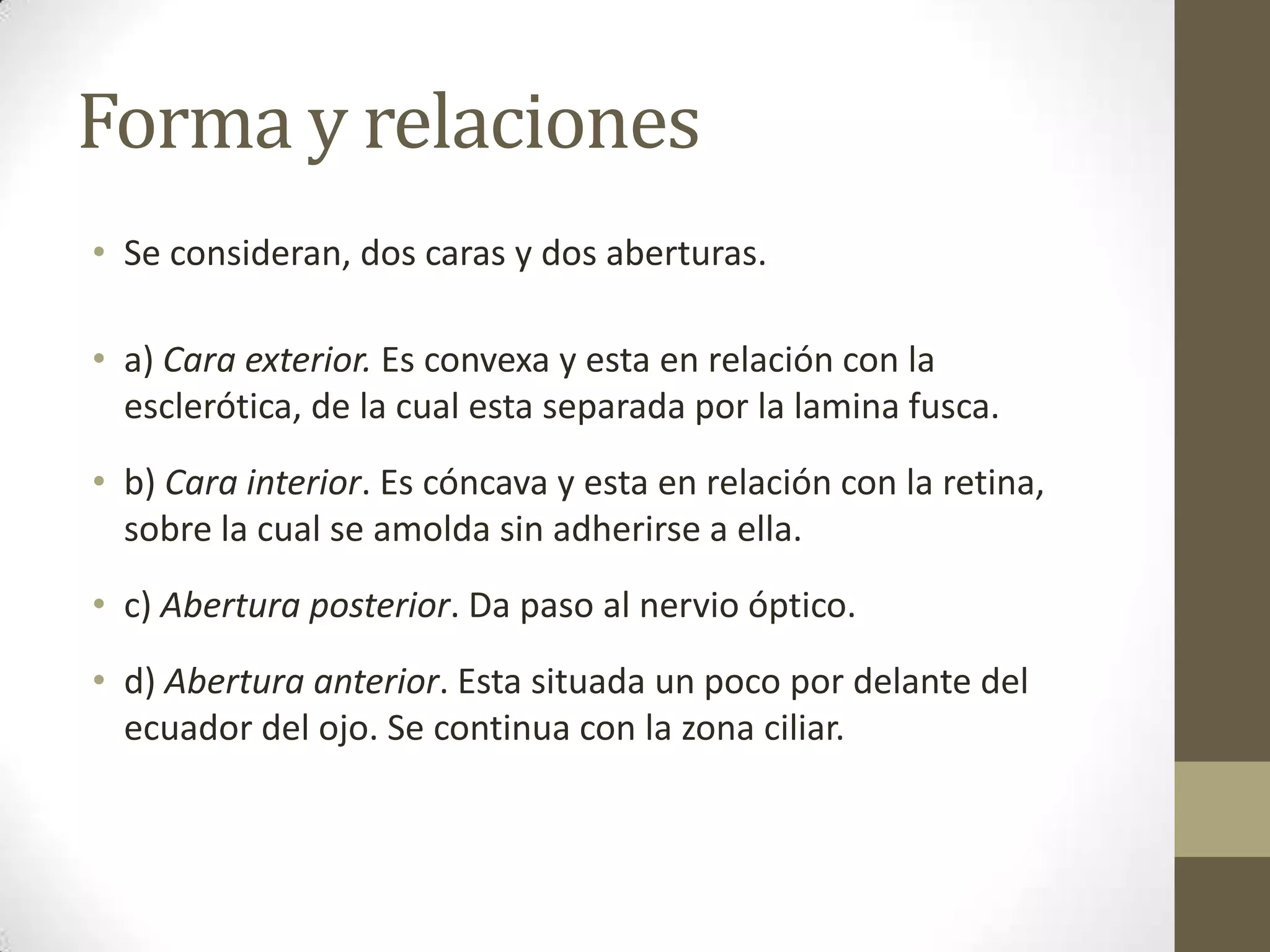 Forma y relaciones
• Se consideran, dos caras y dos aberturas.

• a) Cara exterior. Es convexa y esta en relación con la
  esclerótica, de la cual esta separada por la lamina fusca.
• b) Cara interior. Es cóncava y esta en relación con la retina,
  sobre la cual se amolda sin adherirse a ella.
• c) Abertura posterior. Da paso al nervio óptico.
• d) Abertura anterior. Esta situada un poco por delante del
  ecuador del ojo. Se continua con la zona ciliar.
 
