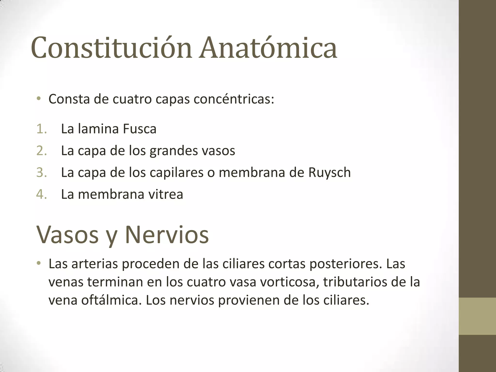Constitución Anatómica
• Consta de cuatro capas concéntricas:
1.   La lamina Fusca
2.   La capa de los grandes vasos
3.   La capa de los capilares o membrana de Ruysch
4.   La membrana vitrea

Vasos y Nervios
• Las arterias proceden de las ciliares cortas posteriores. Las
  venas terminan en los cuatro vasa vorticosa, tributarios de la
  vena oftálmica. Los nervios provienen de los ciliares.
 