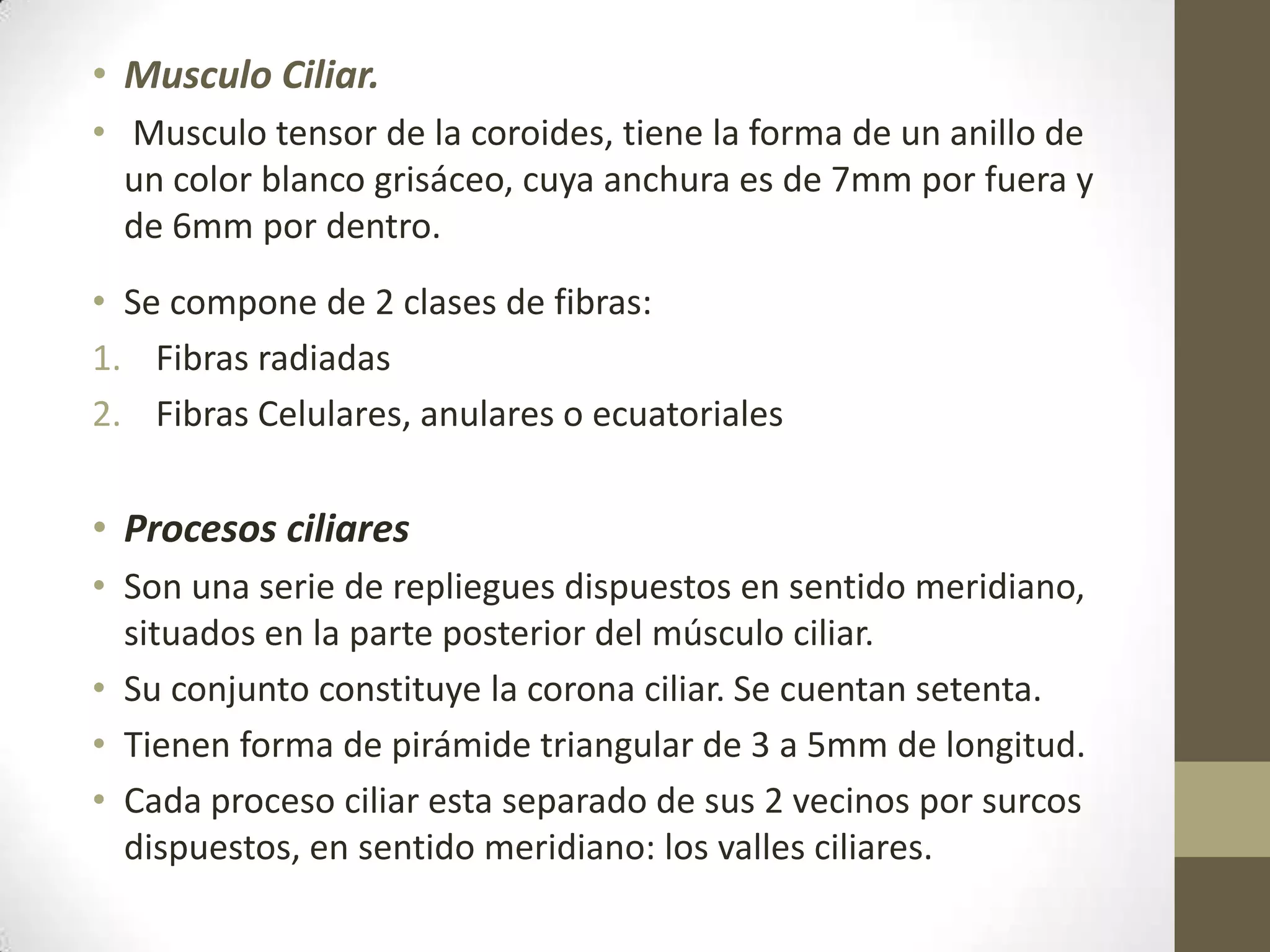 • Musculo Ciliar.
• Musculo tensor de la coroides, tiene la forma de un anillo de
  un color blanco grisáceo, cuya anchura es de 7mm por fuera y
  de 6mm por dentro.
• Se compone de 2 clases de fibras:
1. Fibras radiadas
2. Fibras Celulares, anulares o ecuatoriales

• Procesos ciliares
• Son una serie de repliegues dispuestos en sentido meridiano,
  situados en la parte posterior del músculo ciliar.
• Su conjunto constituye la corona ciliar. Se cuentan setenta.
• Tienen forma de pirámide triangular de 3 a 5mm de longitud.
• Cada proceso ciliar esta separado de sus 2 vecinos por surcos
  dispuestos, en sentido meridiano: los valles ciliares.
 