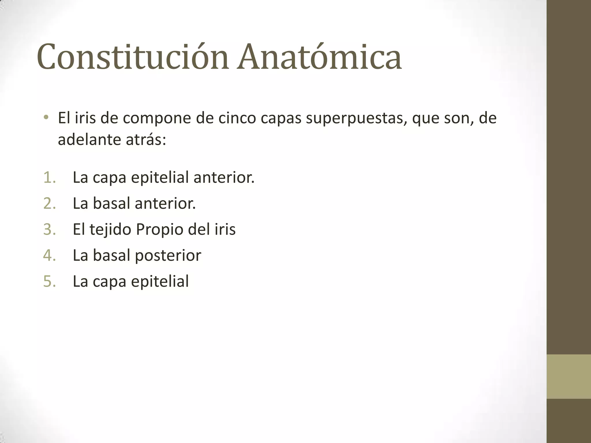 Constitución Anatómica
• El iris de compone de cinco capas superpuestas, que son, de
  adelante atrás:

1.   La capa epitelial anterior.
2.   La basal anterior.
3.   El tejido Propio del iris
4.   La basal posterior
5.   La capa epitelial
 