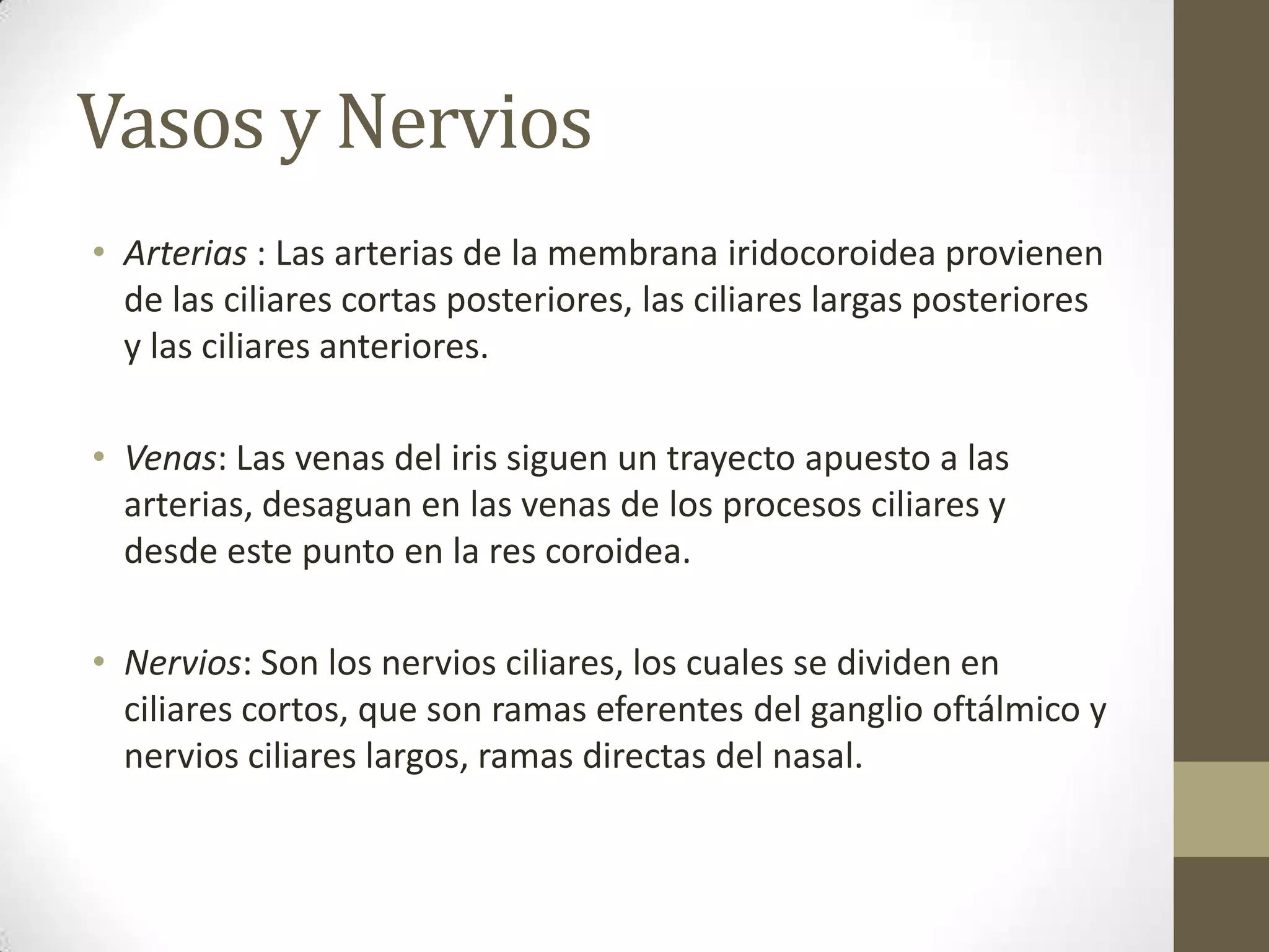 Vasos y Nervios
• Arterias : Las arterias de la membrana iridocoroidea provienen
  de las ciliares cortas posteriores, las ciliares largas posteriores
  y las ciliares anteriores.

• Venas: Las venas del iris siguen un trayecto apuesto a las
  arterias, desaguan en las venas de los procesos ciliares y
  desde este punto en la res coroidea.

• Nervios: Son los nervios ciliares, los cuales se dividen en
  ciliares cortos, que son ramas eferentes del ganglio oftálmico y
  nervios ciliares largos, ramas directas del nasal.
 