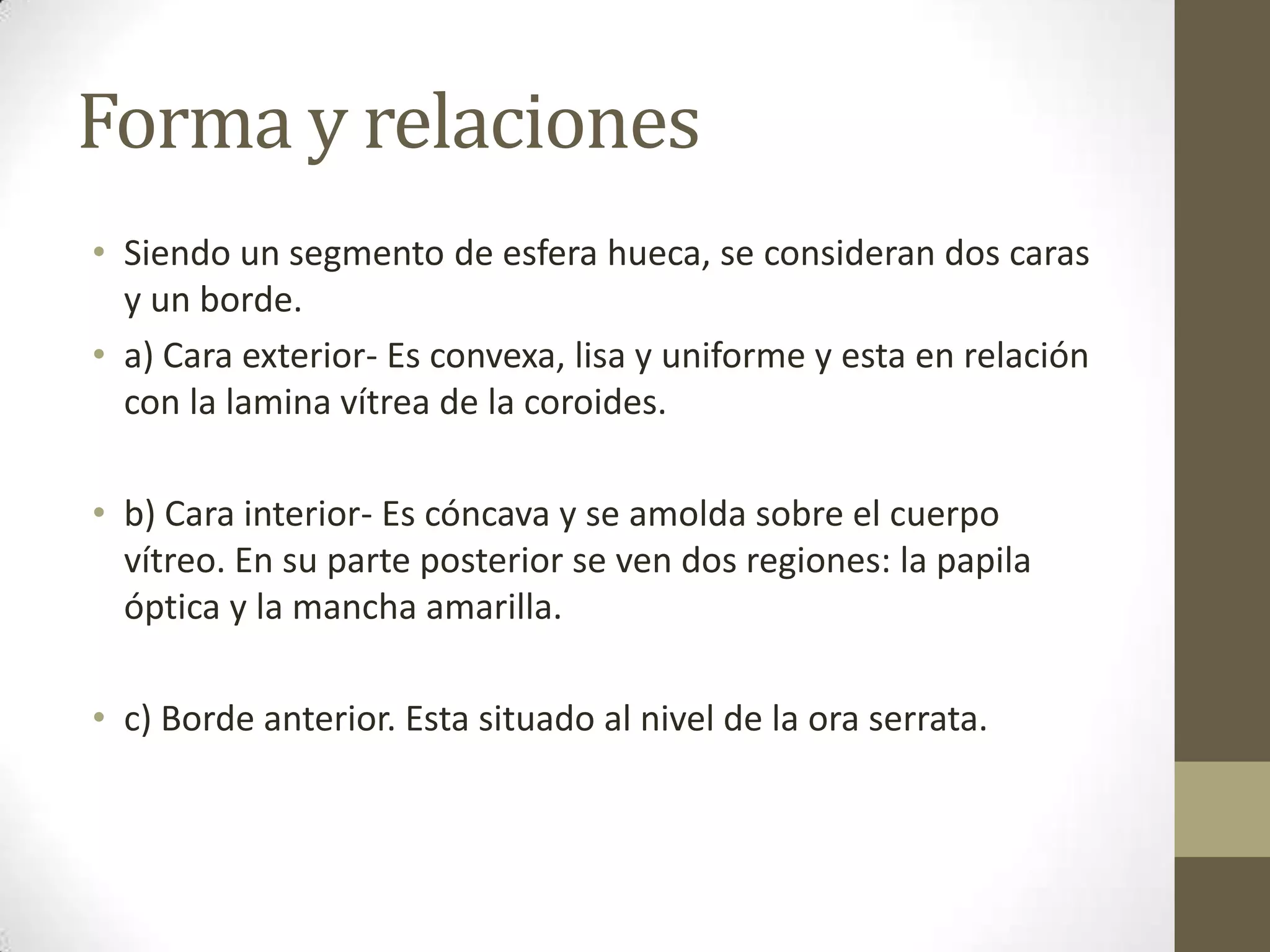 Forma y relaciones
• Siendo un segmento de esfera hueca, se consideran dos caras
  y un borde.
• a) Cara exterior- Es convexa, lisa y uniforme y esta en relación
  con la lamina vítrea de la coroides.

• b) Cara interior- Es cóncava y se amolda sobre el cuerpo
  vítreo. En su parte posterior se ven dos regiones: la papila
  óptica y la mancha amarilla.

• c) Borde anterior. Esta situado al nivel de la ora serrata.
 