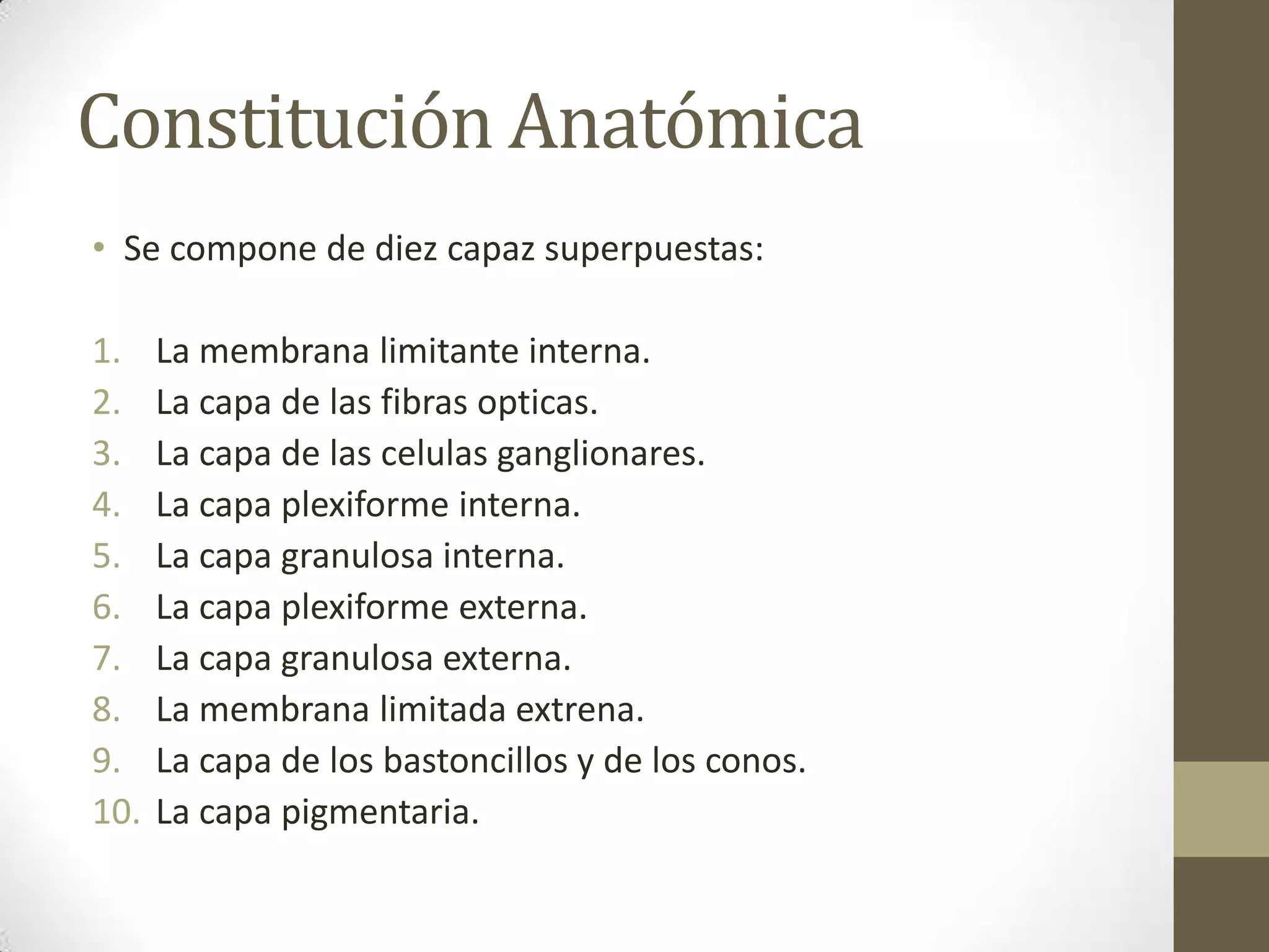 Constitución Anatómica
• Se compone de diez capaz superpuestas:

1.    La membrana limitante interna.
2.    La capa de las fibras opticas.
3.    La capa de las celulas ganglionares.
4.    La capa plexiforme interna.
5.    La capa granulosa interna.
6.    La capa plexiforme externa.
7.    La capa granulosa externa.
8.    La membrana limitada extrena.
9.    La capa de los bastoncillos y de los conos.
10.   La capa pigmentaria.
 