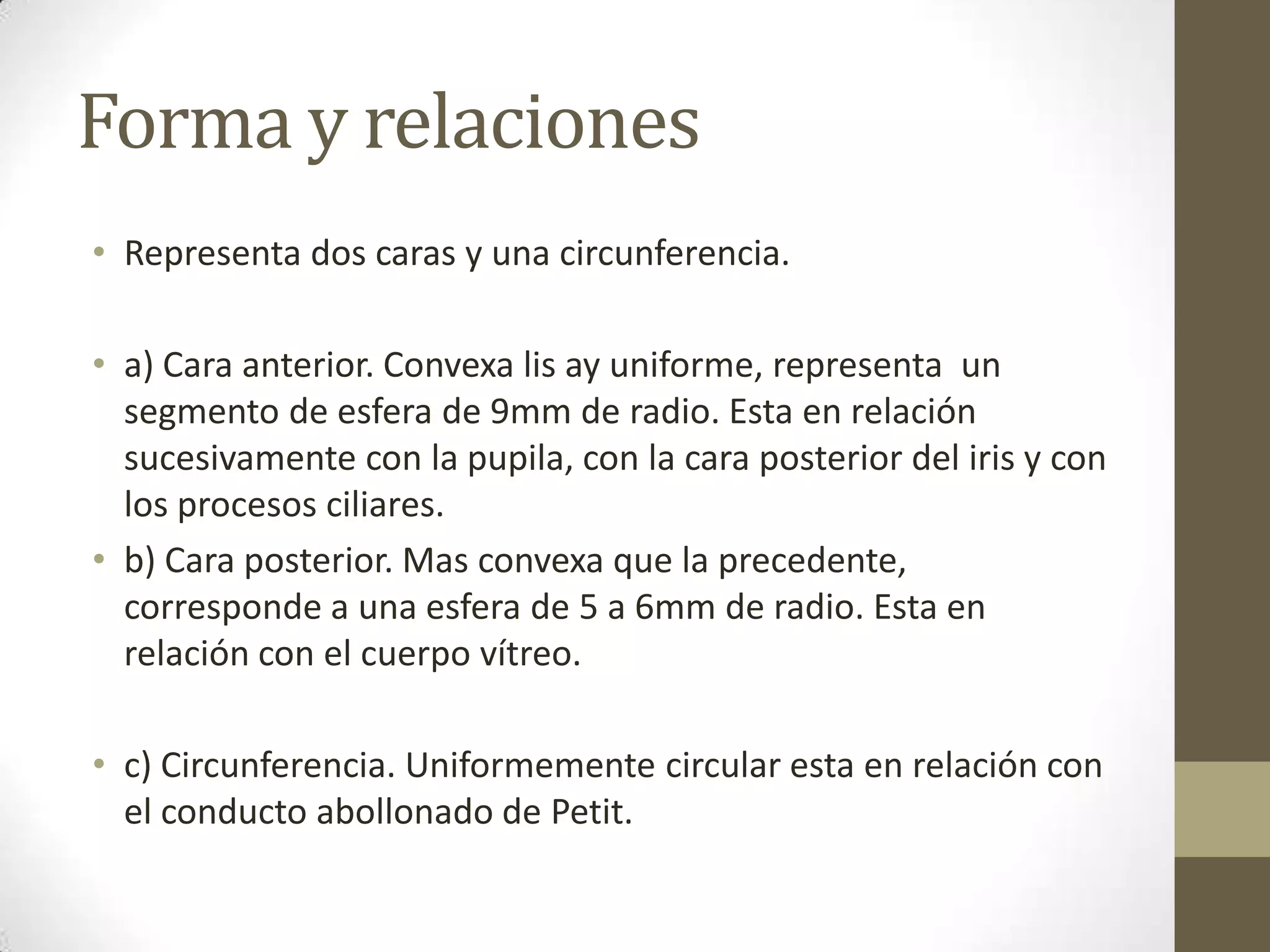 Forma y relaciones
• Representa dos caras y una circunferencia.

• a) Cara anterior. Convexa lis ay uniforme, representa un
  segmento de esfera de 9mm de radio. Esta en relación
  sucesivamente con la pupila, con la cara posterior del iris y con
  los procesos ciliares.
• b) Cara posterior. Mas convexa que la precedente,
  corresponde a una esfera de 5 a 6mm de radio. Esta en
  relación con el cuerpo vítreo.

• c) Circunferencia. Uniformemente circular esta en relación con
  el conducto abollonado de Petit.
 