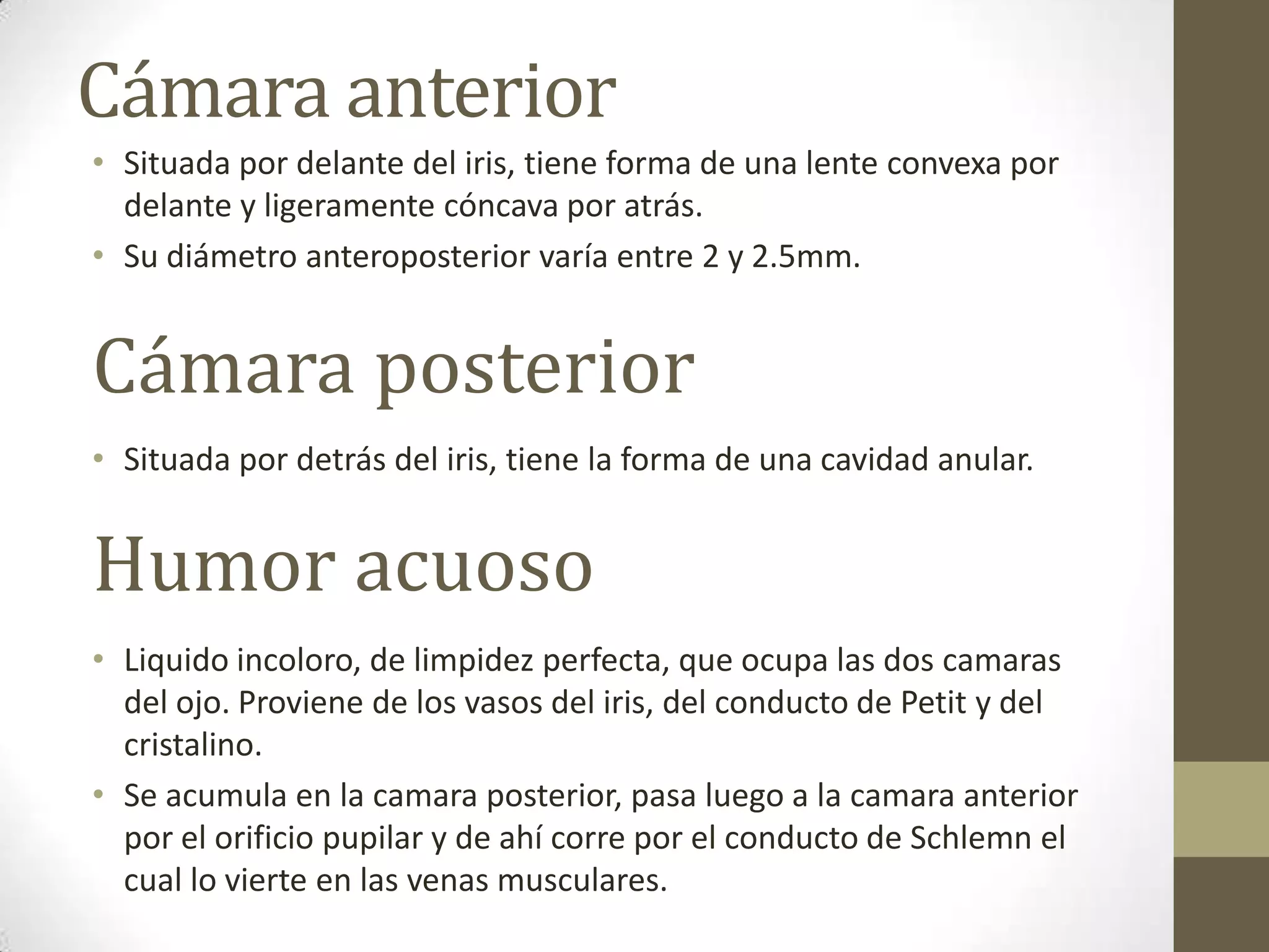 Cámara anterior
• Situada por delante del iris, tiene forma de una lente convexa por
  delante y ligeramente cóncava por atrás.
• Su diámetro anteroposterior varía entre 2 y 2.5mm.


Cámara posterior
• Situada por detrás del iris, tiene la forma de una cavidad anular.


Humor acuoso
• Liquido incoloro, de limpidez perfecta, que ocupa las dos camaras
  del ojo. Proviene de los vasos del iris, del conducto de Petit y del
  cristalino.
• Se acumula en la camara posterior, pasa luego a la camara anterior
  por el orificio pupilar y de ahí corre por el conducto de Schlemn el
  cual lo vierte en las venas musculares.
 