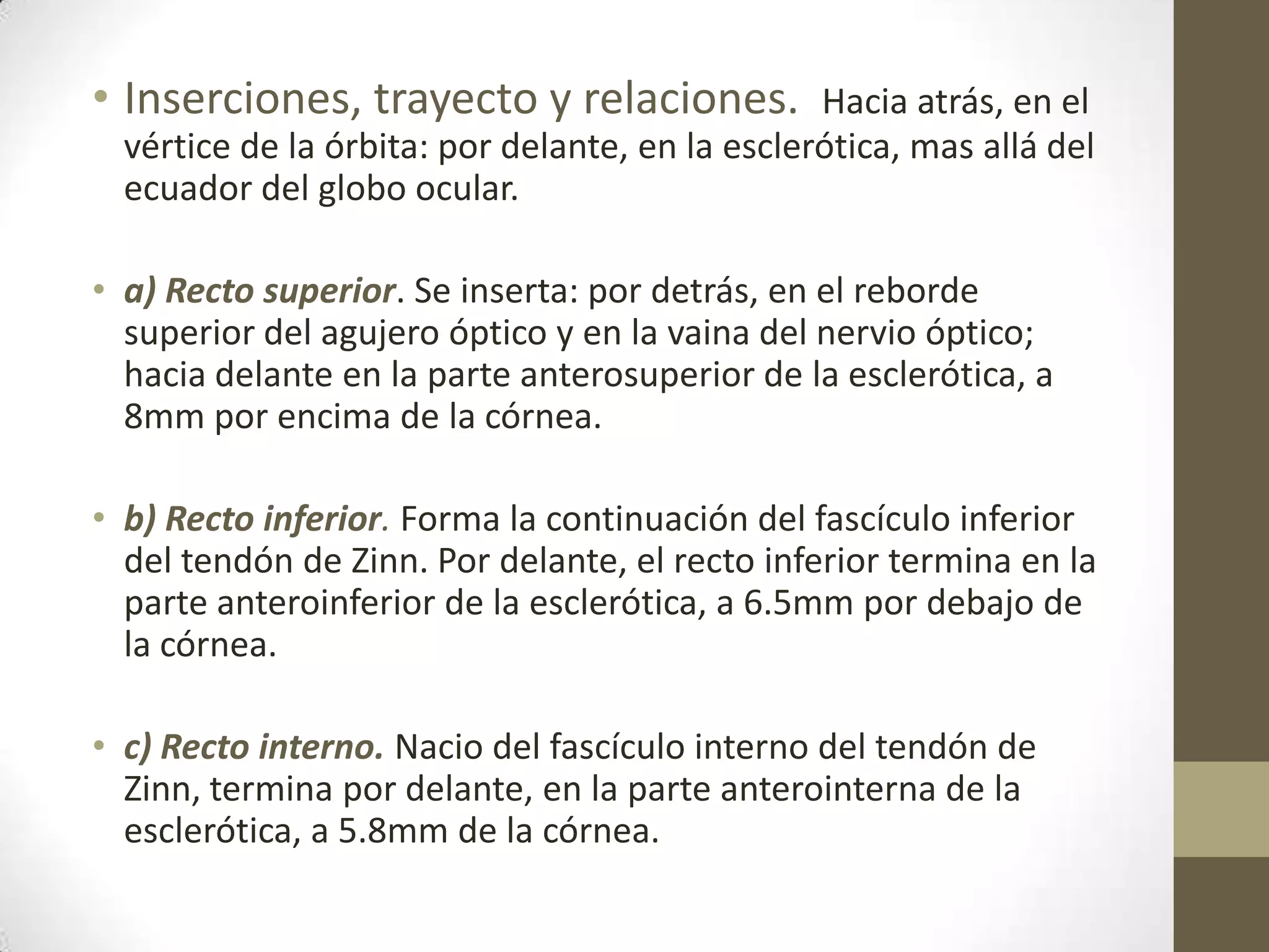 • Inserciones, trayecto y relaciones.            Hacia atrás, en el
  vértice de la órbita: por delante, en la esclerótica, mas allá del
  ecuador del globo ocular.

• a) Recto superior. Se inserta: por detrás, en el reborde
  superior del agujero óptico y en la vaina del nervio óptico;
  hacia delante en la parte anterosuperior de la esclerótica, a
  8mm por encima de la córnea.

• b) Recto inferior. Forma la continuación del fascículo inferior
  del tendón de Zinn. Por delante, el recto inferior termina en la
  parte anteroinferior de la esclerótica, a 6.5mm por debajo de
  la córnea.

• c) Recto interno. Nacio del fascículo interno del tendón de
  Zinn, termina por delante, en la parte anterointerna de la
  esclerótica, a 5.8mm de la córnea.
 