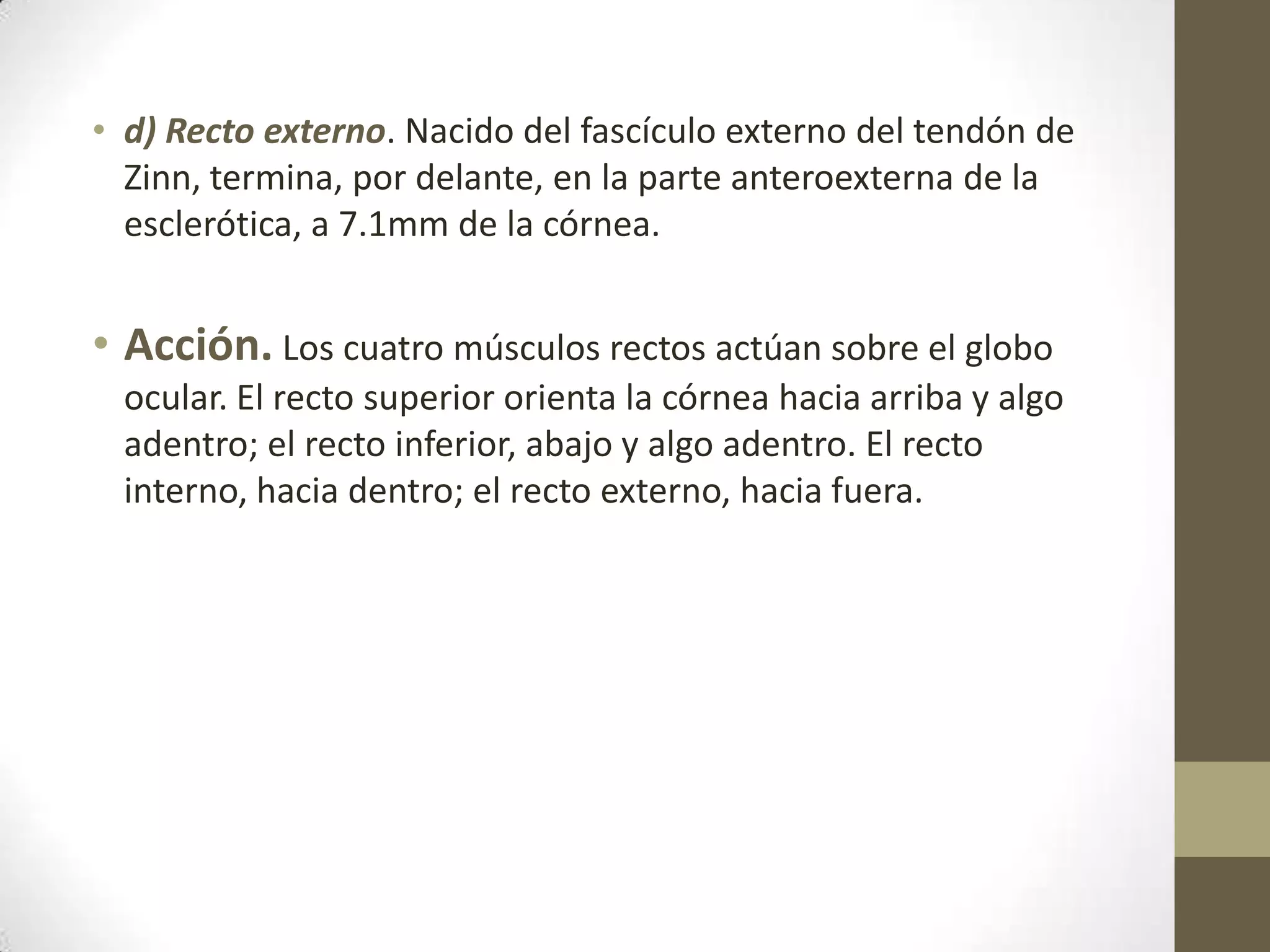 • d) Recto externo. Nacido del fascículo externo del tendón de
  Zinn, termina, por delante, en la parte anteroexterna de la
  esclerótica, a 7.1mm de la córnea.


• Acción. Los cuatro músculos rectos actúan sobre el globo
  ocular. El recto superior orienta la córnea hacia arriba y algo
  adentro; el recto inferior, abajo y algo adentro. El recto
  interno, hacia dentro; el recto externo, hacia fuera.
 