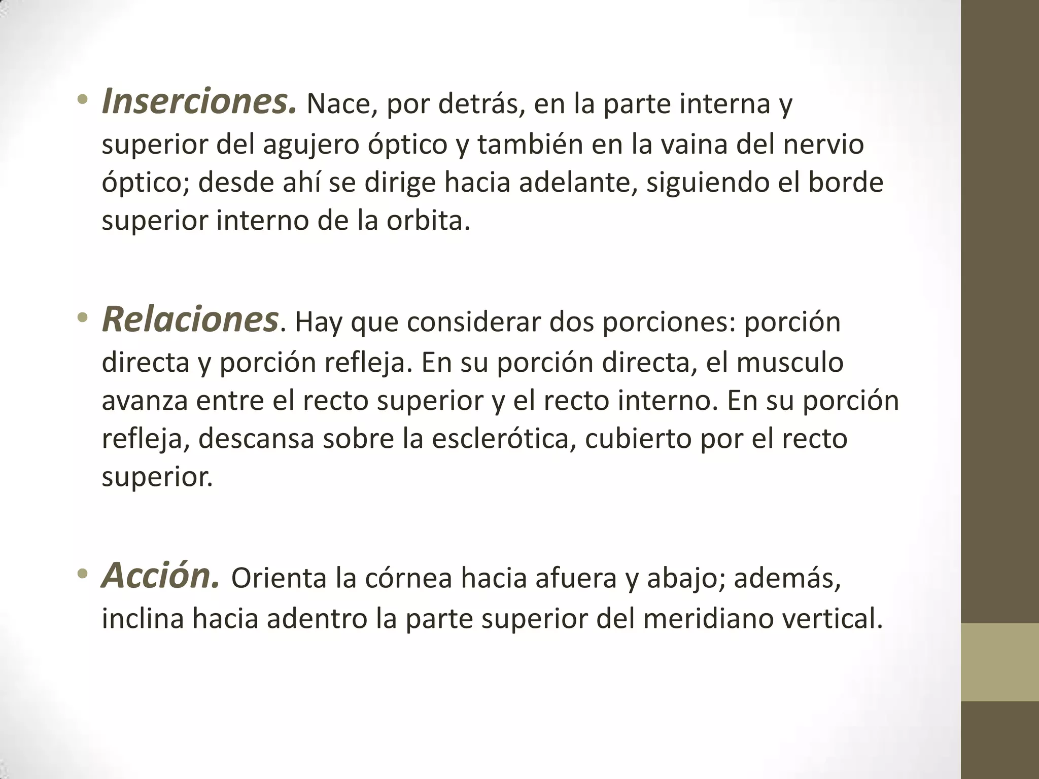 • Inserciones. Nace, por detrás, en la parte interna y
 superior del agujero óptico y también en la vaina del nervio
 óptico; desde ahí se dirige hacia adelante, siguiendo el borde
 superior interno de la orbita.


• Relaciones. Hay que considerar dos porciones: porción
 directa y porción refleja. En su porción directa, el musculo
 avanza entre el recto superior y el recto interno. En su porción
 refleja, descansa sobre la esclerótica, cubierto por el recto
 superior.


• Acción. Orienta la córnea hacia afuera y abajo; además,
 inclina hacia adentro la parte superior del meridiano vertical.
 