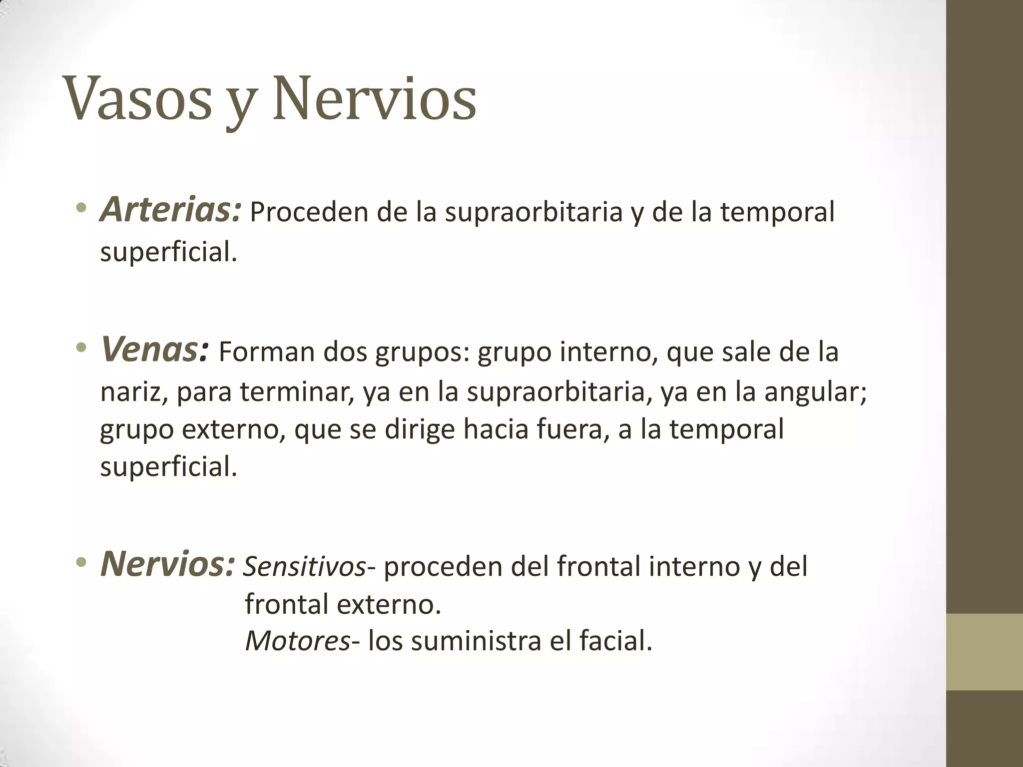 Vasos y Nervios
• Arterias: Proceden de la supraorbitaria y de la temporal
 superficial.


• Venas: Forman dos grupos: grupo interno, que sale de la
 nariz, para terminar, ya en la supraorbitaria, ya en la angular;
 grupo externo, que se dirige hacia fuera, a la temporal
 superficial.


• Nervios: Sensitivos- proceden del frontal interno y del
                frontal externo.
                Motores- los suministra el facial.
 