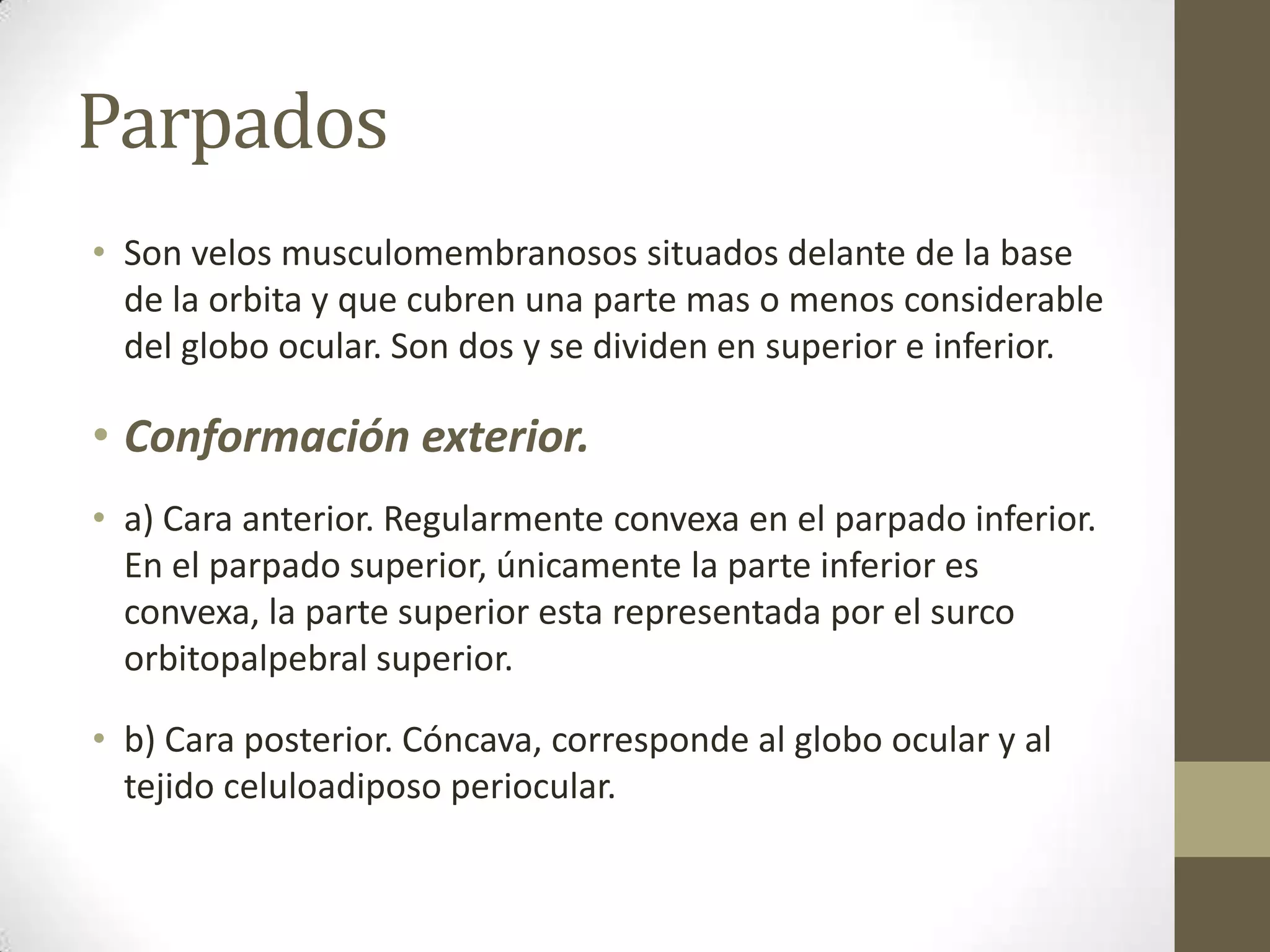 Parpados
• Son velos musculomembranosos situados delante de la base
  de la orbita y que cubren una parte mas o menos considerable
  del globo ocular. Son dos y se dividen en superior e inferior.

• Conformación exterior.
• a) Cara anterior. Regularmente convexa en el parpado inferior.
  En el parpado superior, únicamente la parte inferior es
  convexa, la parte superior esta representada por el surco
  orbitopalpebral superior.

• b) Cara posterior. Cóncava, corresponde al globo ocular y al
  tejido celuloadiposo periocular.
 