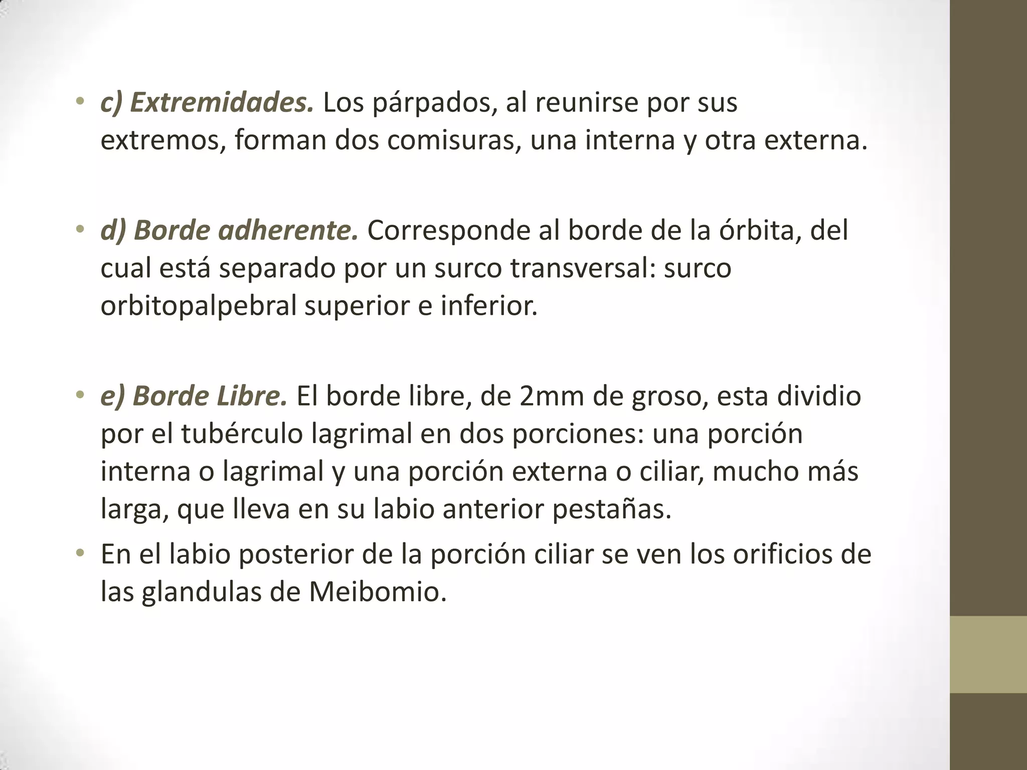 • c) Extremidades. Los párpados, al reunirse por sus
  extremos, forman dos comisuras, una interna y otra externa.

• d) Borde adherente. Corresponde al borde de la órbita, del
  cual está separado por un surco transversal: surco
  orbitopalpebral superior e inferior.

• e) Borde Libre. El borde libre, de 2mm de groso, esta dividio
  por el tubérculo lagrimal en dos porciones: una porción
  interna o lagrimal y una porción externa o ciliar, mucho más
  larga, que lleva en su labio anterior pestañas.
• En el labio posterior de la porción ciliar se ven los orificios de
  las glandulas de Meibomio.
 