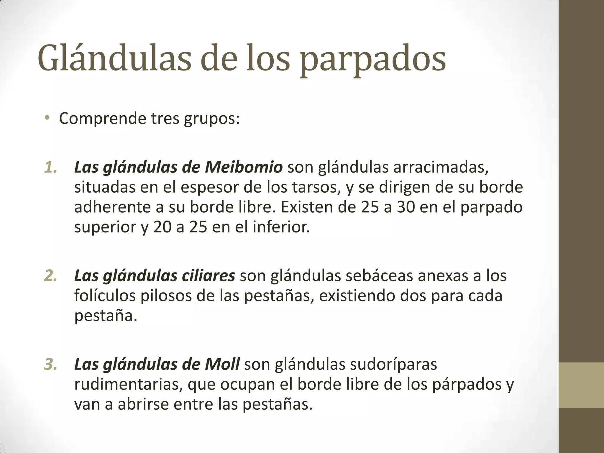 Glándulas de los parpados
• Comprende tres grupos:

1. Las glándulas de Meibomio son glándulas arracimadas,
   situadas en el espesor de los tarsos, y se dirigen de su borde
   adherente a su borde libre. Existen de 25 a 30 en el parpado
   superior y 20 a 25 en el inferior.

2. Las glándulas ciliares son glándulas sebáceas anexas a los
   folículos pilosos de las pestañas, existiendo dos para cada
   pestaña.

3. Las glándulas de Moll son glándulas sudoríparas
   rudimentarias, que ocupan el borde libre de los párpados y
   van a abrirse entre las pestañas.
 