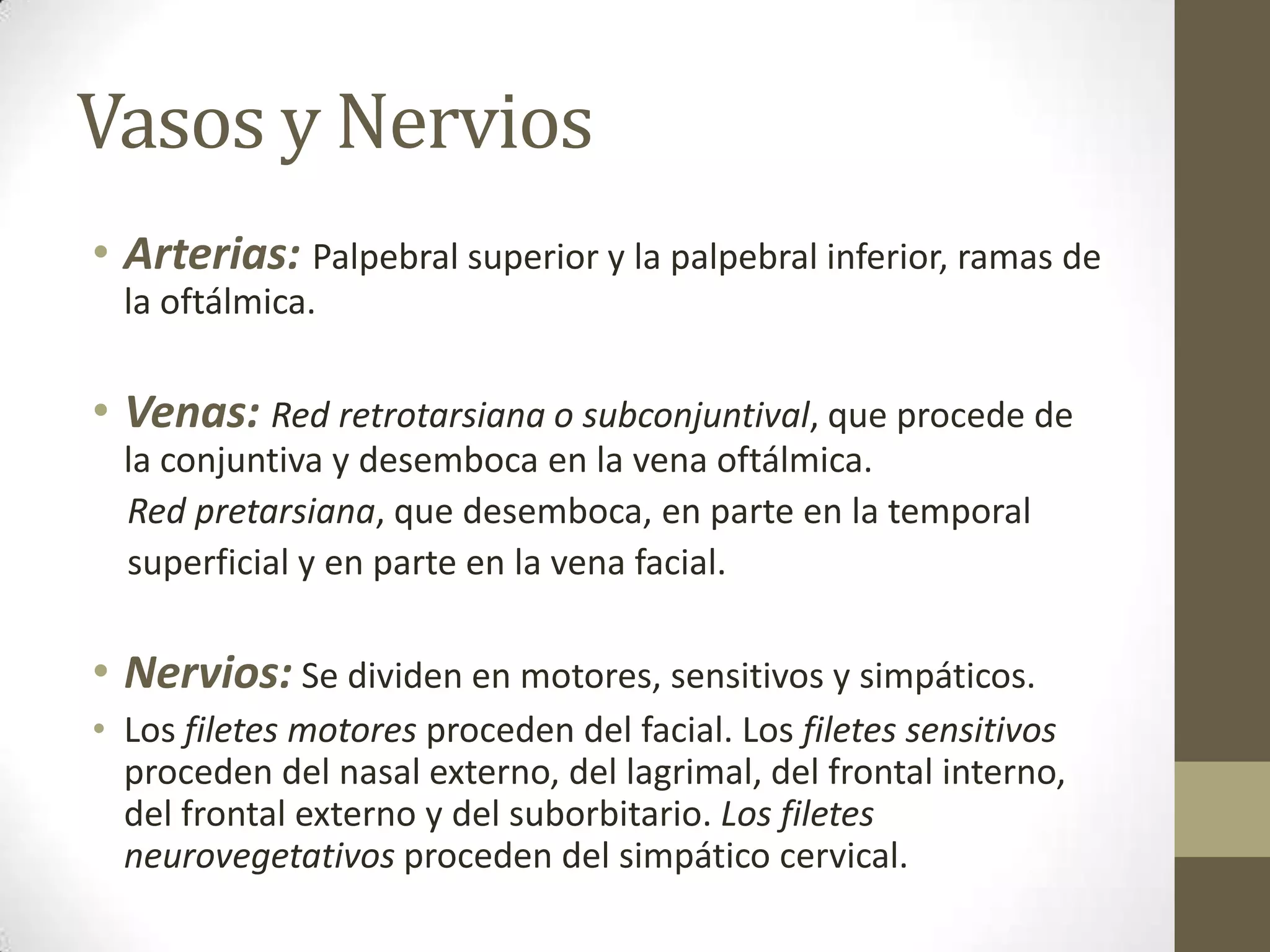 Vasos y Nervios
• Arterias: Palpebral superior y la palpebral inferior, ramas de
  la oftálmica.

• Venas: Red retrotarsiana o subconjuntival, que procede de
  la conjuntiva y desemboca en la vena oftálmica.
  Red pretarsiana, que desemboca, en parte en la temporal
  superficial y en parte en la vena facial.

• Nervios: Se dividen en motores, sensitivos y simpáticos.
• Los filetes motores proceden del facial. Los filetes sensitivos
  proceden del nasal externo, del lagrimal, del frontal interno,
  del frontal externo y del suborbitario. Los filetes
  neurovegetativos proceden del simpático cervical.
 