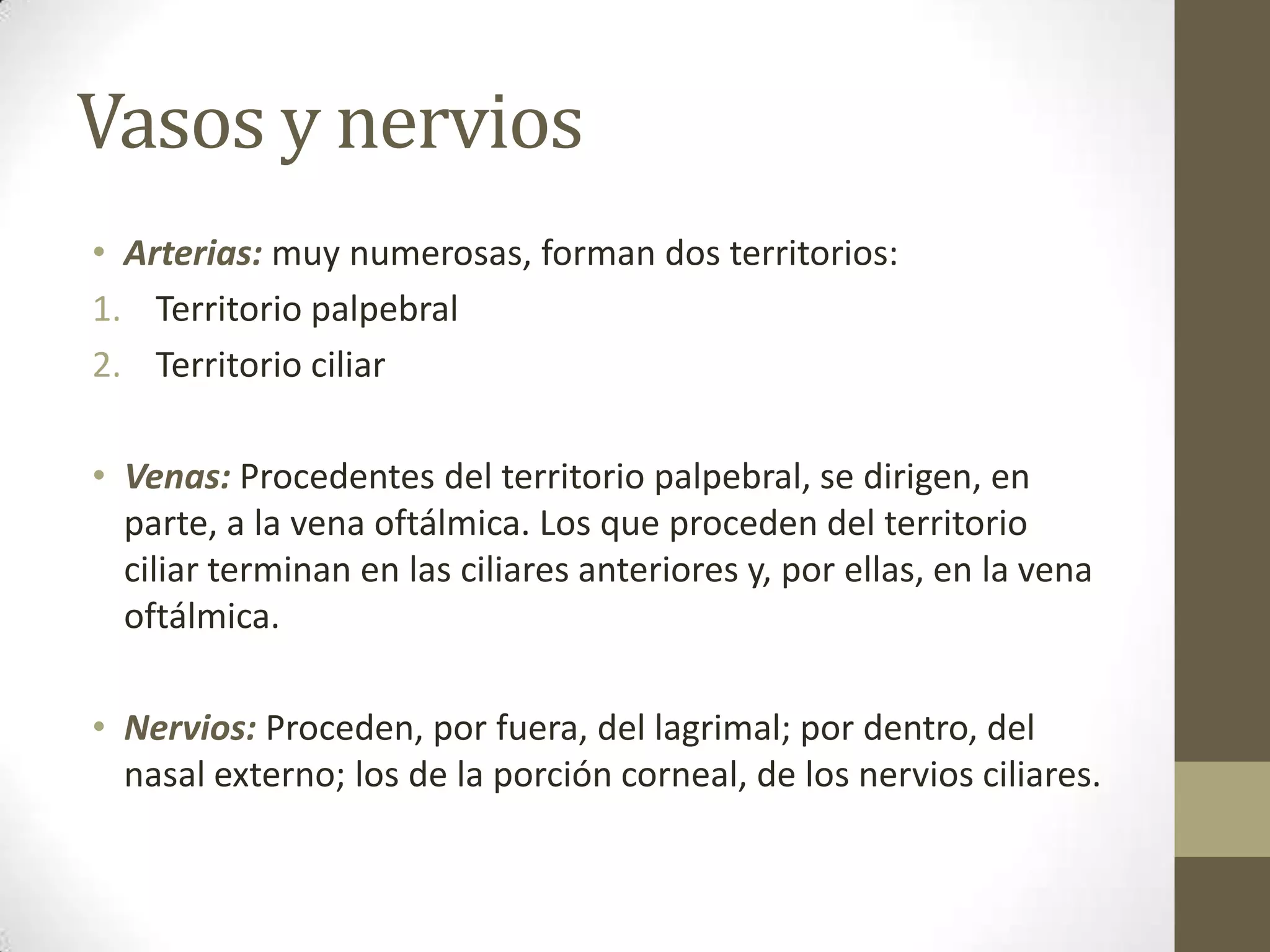 Vasos y nervios
• Arterias: muy numerosas, forman dos territorios:
1. Territorio palpebral
2. Territorio ciliar

• Venas: Procedentes del territorio palpebral, se dirigen, en
  parte, a la vena oftálmica. Los que proceden del territorio
  ciliar terminan en las ciliares anteriores y, por ellas, en la vena
  oftálmica.

• Nervios: Proceden, por fuera, del lagrimal; por dentro, del
  nasal externo; los de la porción corneal, de los nervios ciliares.
 