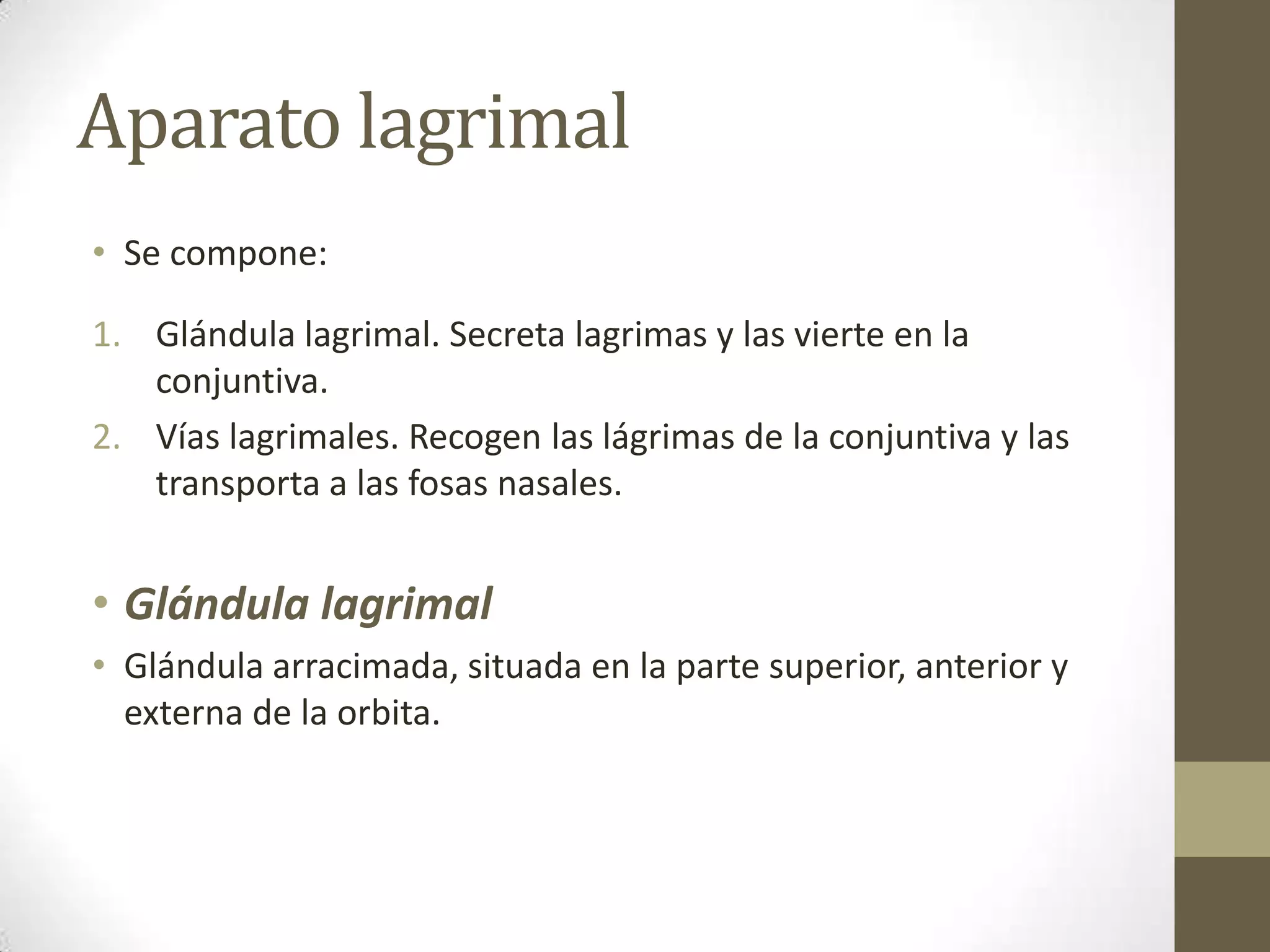 Aparato lagrimal
• Se compone:

1. Glándula lagrimal. Secreta lagrimas y las vierte en la
   conjuntiva.
2. Vías lagrimales. Recogen las lágrimas de la conjuntiva y las
   transporta a las fosas nasales.


• Glándula lagrimal
• Glándula arracimada, situada en la parte superior, anterior y
  externa de la orbita.
 
