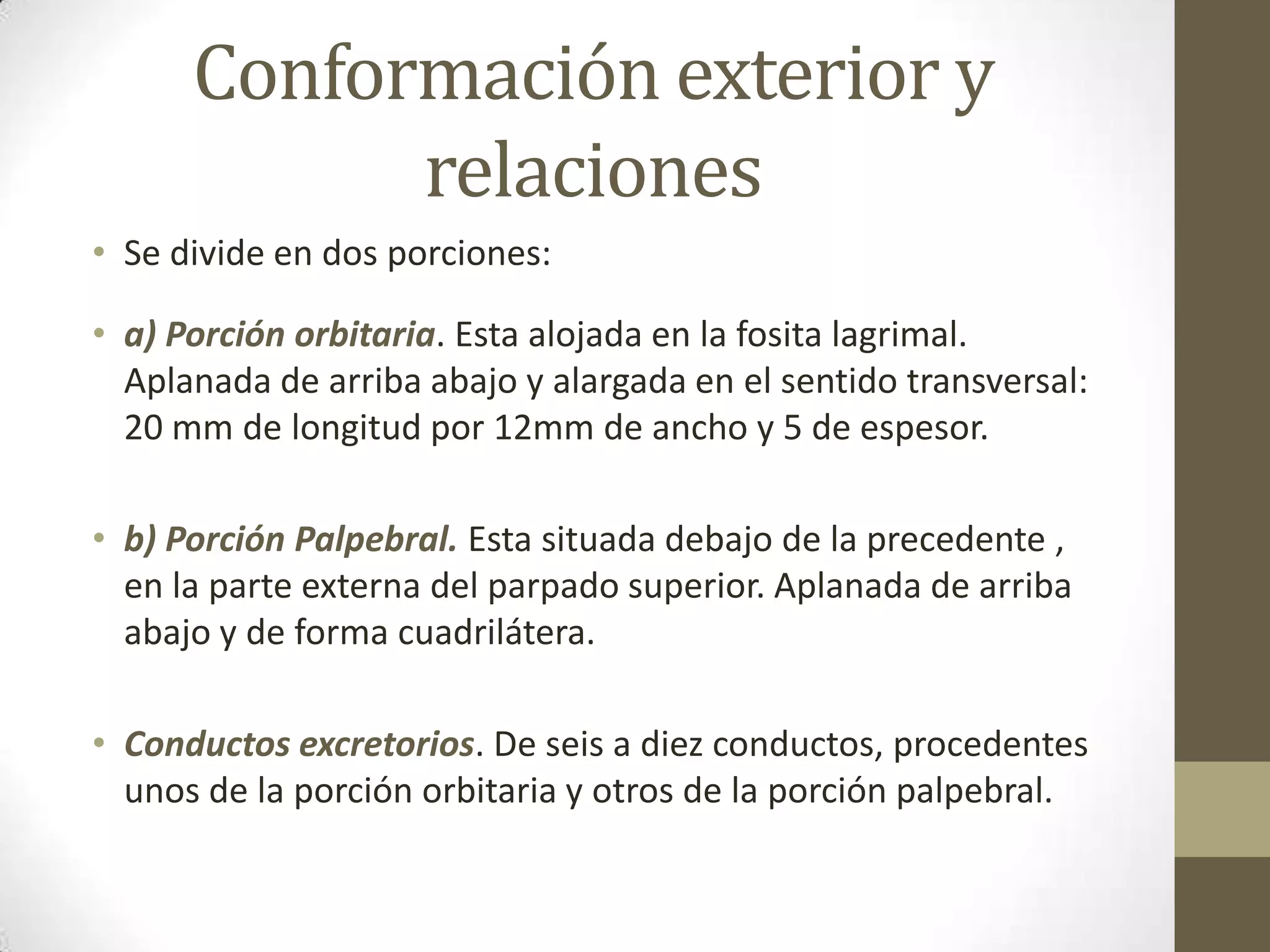 Conformación exterior y
            relaciones
• Se divide en dos porciones:

• a) Porción orbitaria. Esta alojada en la fosita lagrimal.
  Aplanada de arriba abajo y alargada en el sentido transversal:
  20 mm de longitud por 12mm de ancho y 5 de espesor.

• b) Porción Palpebral. Esta situada debajo de la precedente ,
  en la parte externa del parpado superior. Aplanada de arriba
  abajo y de forma cuadrilátera.

• Conductos excretorios. De seis a diez conductos, procedentes
  unos de la porción orbitaria y otros de la porción palpebral.
 