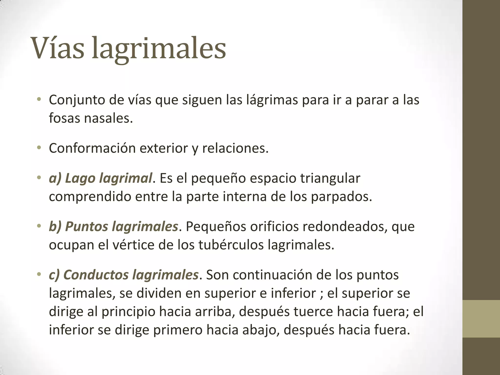 Vías lagrimales
• Conjunto de vías que siguen las lágrimas para ir a parar a las
  fosas nasales.
• Conformación exterior y relaciones.
• a) Lago lagrimal. Es el pequeño espacio triangular
  comprendido entre la parte interna de los parpados.
• b) Puntos lagrimales. Pequeños orificios redondeados, que
  ocupan el vértice de los tubérculos lagrimales.
• c) Conductos lagrimales. Son continuación de los puntos
  lagrimales, se dividen en superior e inferior ; el superior se
  dirige al principio hacia arriba, después tuerce hacia fuera; el
  inferior se dirige primero hacia abajo, después hacia fuera.
 