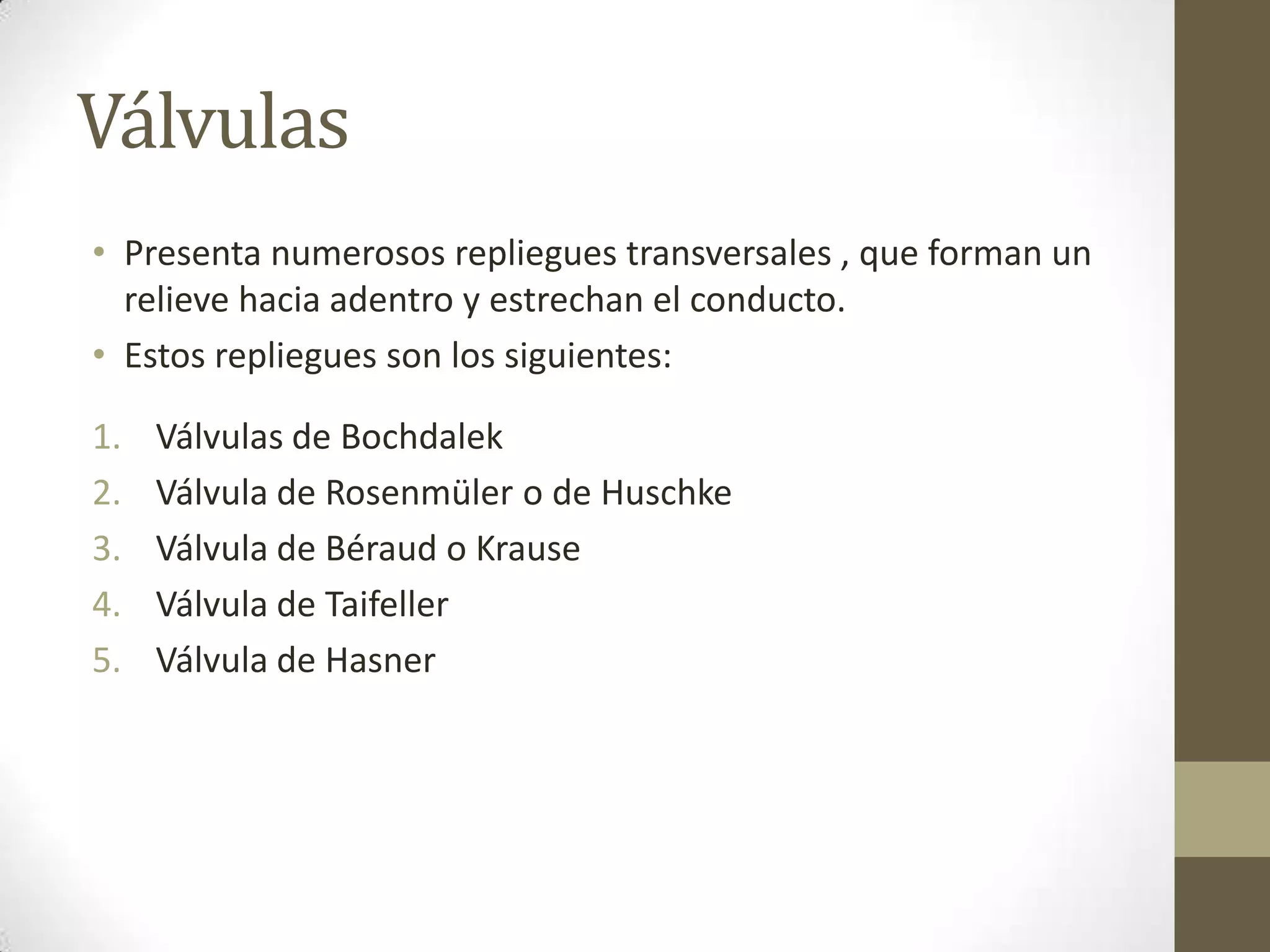 Válvulas
• Presenta numerosos repliegues transversales , que forman un
  relieve hacia adentro y estrechan el conducto.
• Estos repliegues son los siguientes:

1.   Válvulas de Bochdalek
2.   Válvula de Rosenmüler o de Huschke
3.   Válvula de Béraud o Krause
4.   Válvula de Taifeller
5.   Válvula de Hasner
 
