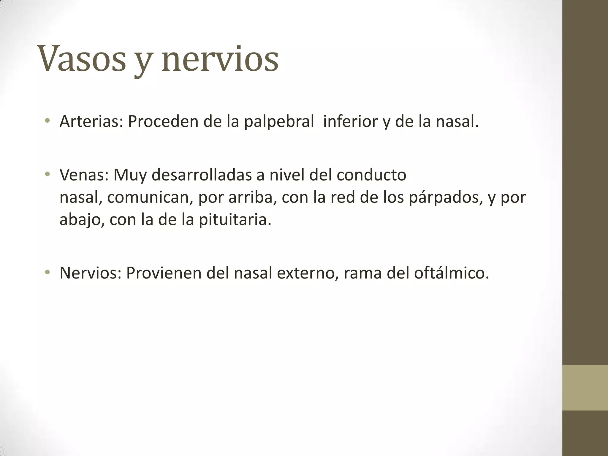 Vasos y nervios
• Arterias: Proceden de la palpebral inferior y de la nasal.

• Venas: Muy desarrolladas a nivel del conducto
  nasal, comunican, por arriba, con la red de los párpados, y por
  abajo, con la de la pituitaria.

• Nervios: Provienen del nasal externo, rama del oftálmico.
 