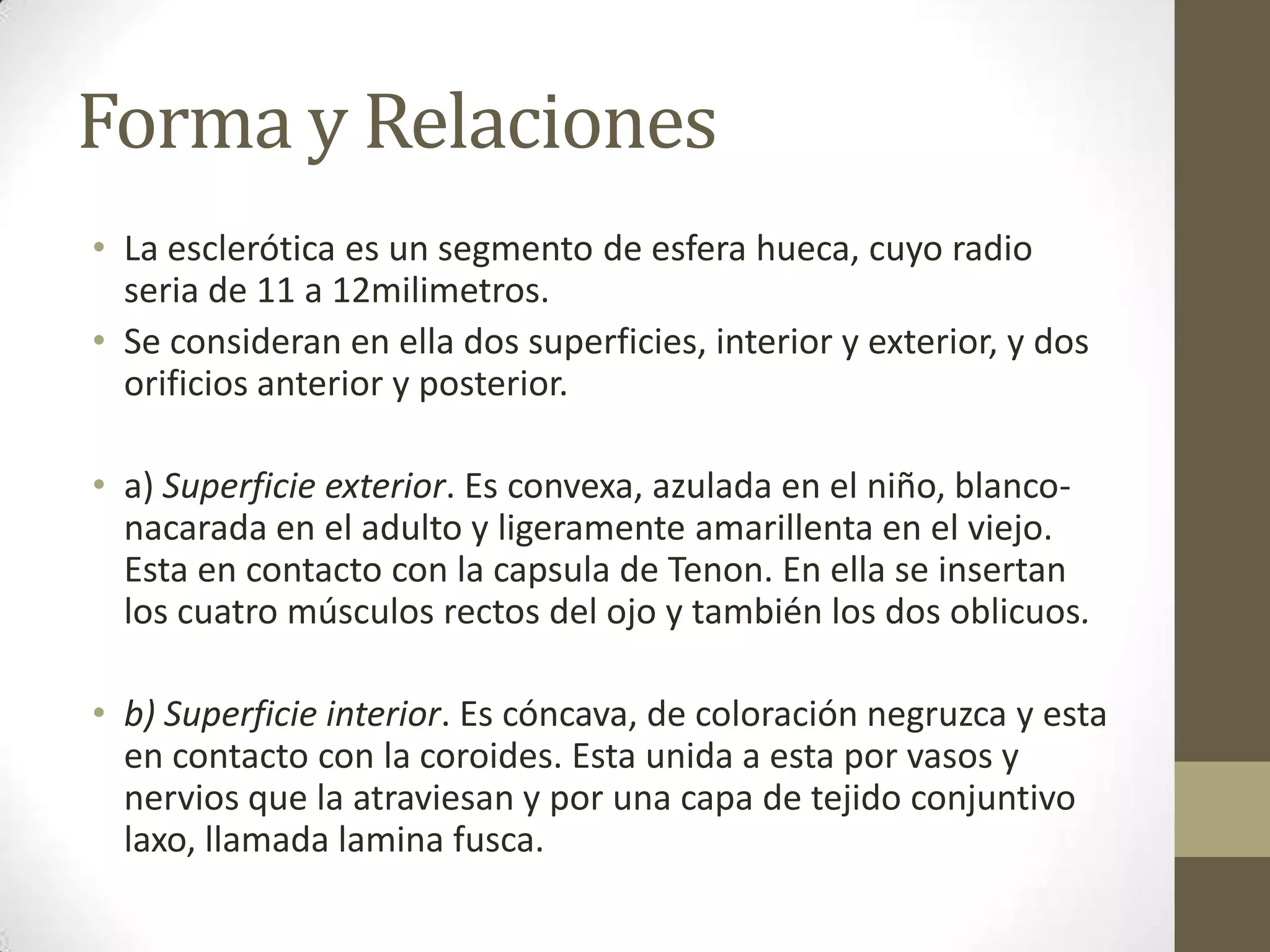 Forma y Relaciones
• La esclerótica es un segmento de esfera hueca, cuyo radio
  seria de 11 a 12milimetros.
• Se consideran en ella dos superficies, interior y exterior, y dos
  orificios anterior y posterior.

• a) Superficie exterior. Es convexa, azulada en el niño, blanco-
  nacarada en el adulto y ligeramente amarillenta en el viejo.
  Esta en contacto con la capsula de Tenon. En ella se insertan
  los cuatro músculos rectos del ojo y también los dos oblicuos.

• b) Superficie interior. Es cóncava, de coloración negruzca y esta
  en contacto con la coroides. Esta unida a esta por vasos y
  nervios que la atraviesan y por una capa de tejido conjuntivo
  laxo, llamada lamina fusca.
 