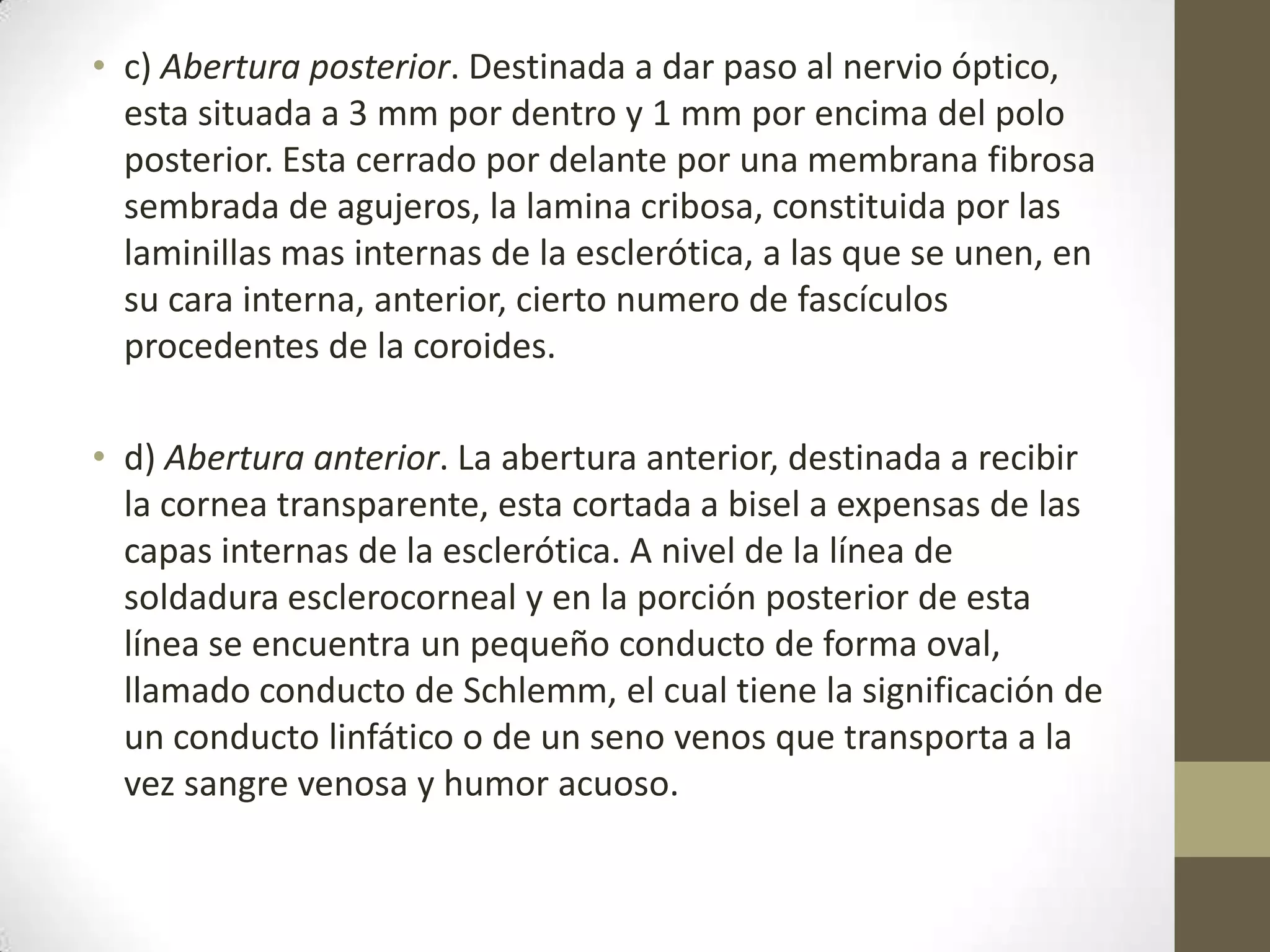 • c) Abertura posterior. Destinada a dar paso al nervio óptico,
  esta situada a 3 mm por dentro y 1 mm por encima del polo
  posterior. Esta cerrado por delante por una membrana fibrosa
  sembrada de agujeros, la lamina cribosa, constituida por las
  laminillas mas internas de la esclerótica, a las que se unen, en
  su cara interna, anterior, cierto numero de fascículos
  procedentes de la coroides.

• d) Abertura anterior. La abertura anterior, destinada a recibir
  la cornea transparente, esta cortada a bisel a expensas de las
  capas internas de la esclerótica. A nivel de la línea de
  soldadura esclerocorneal y en la porción posterior de esta
  línea se encuentra un pequeño conducto de forma oval,
  llamado conducto de Schlemm, el cual tiene la significación de
  un conducto linfático o de un seno venos que transporta a la
  vez sangre venosa y humor acuoso.
 