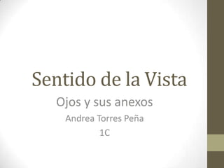 Sentido de la Vista
  Ojos y sus anexos
    Andrea Torres Peña
            1C
 