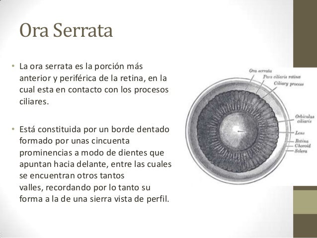 Ojo