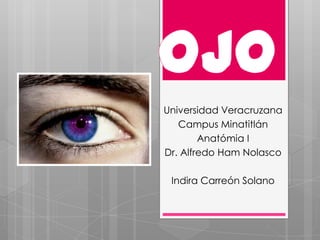 Universidad Veracruzana
Campus Minatitlán
Anatómia I
Dr. Alfredo Ham Nolasco
Indira Carreón Solano
 
