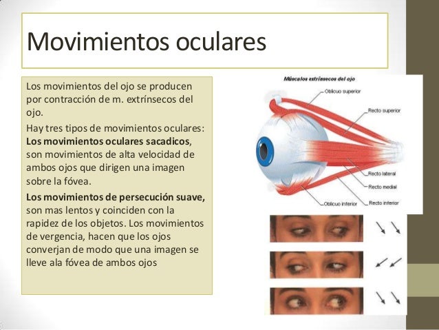 Ojo