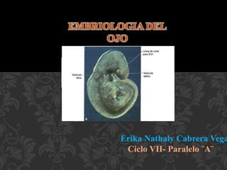 Erika Nathaly Cabrera Vega
Ciclo VII- Paralelo ¨A¨
 